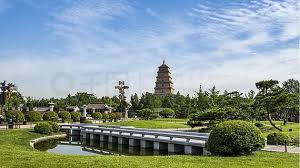 楚雄市政绿化属于什么行业类别